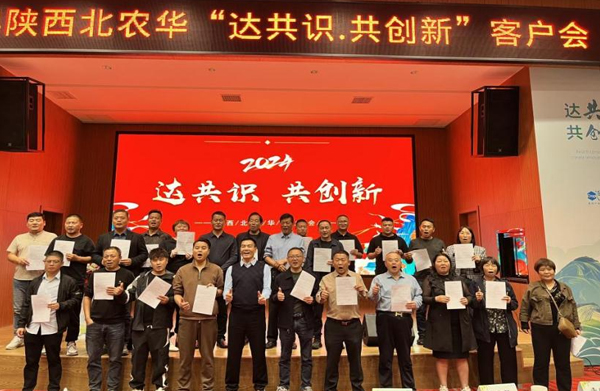 区域代理保护政策