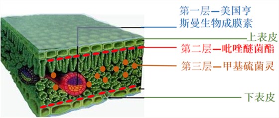 北农华云保泰三层膜保护