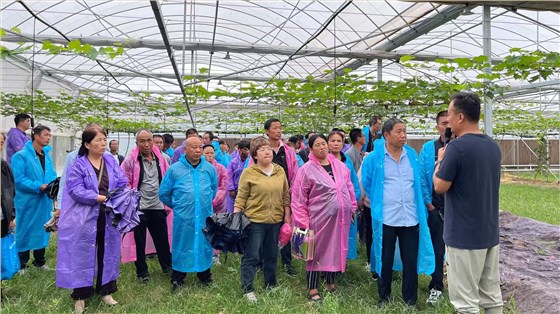 北农华智能温室