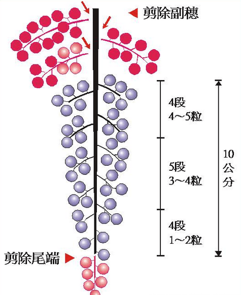 西安北农华