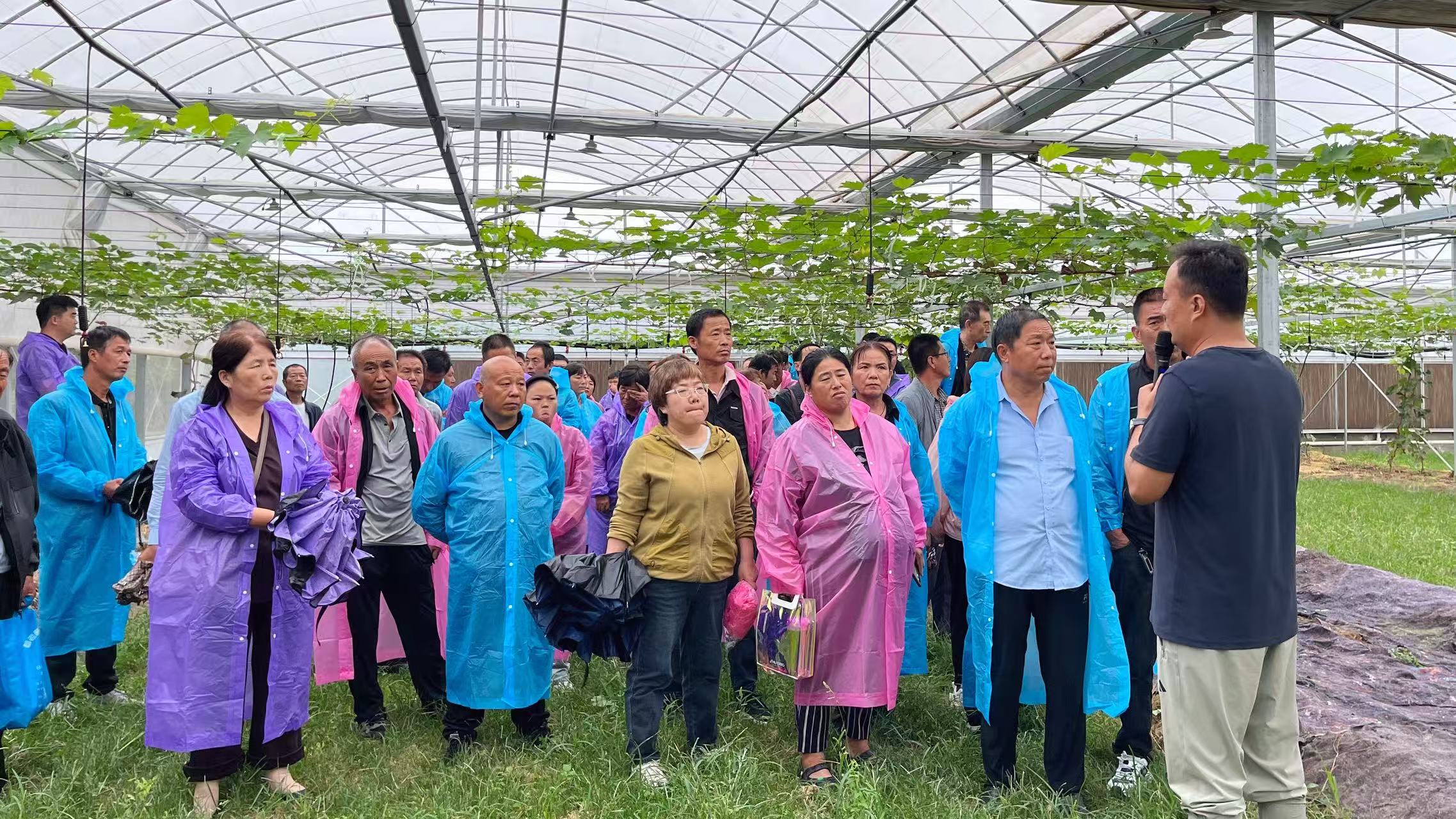 北农华智能温室